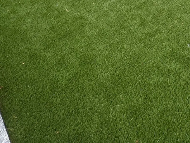Odor-free artificial turf dog run in College Hills, San Angelo TX